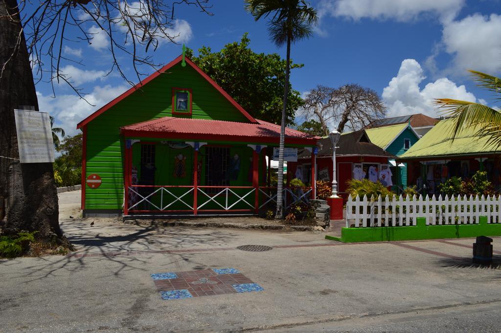 White Coconut Studio Apartment Christ Church Exterior photo